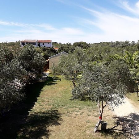 Irini Apartments And Studios Kávos Dış mekan fotoğraf